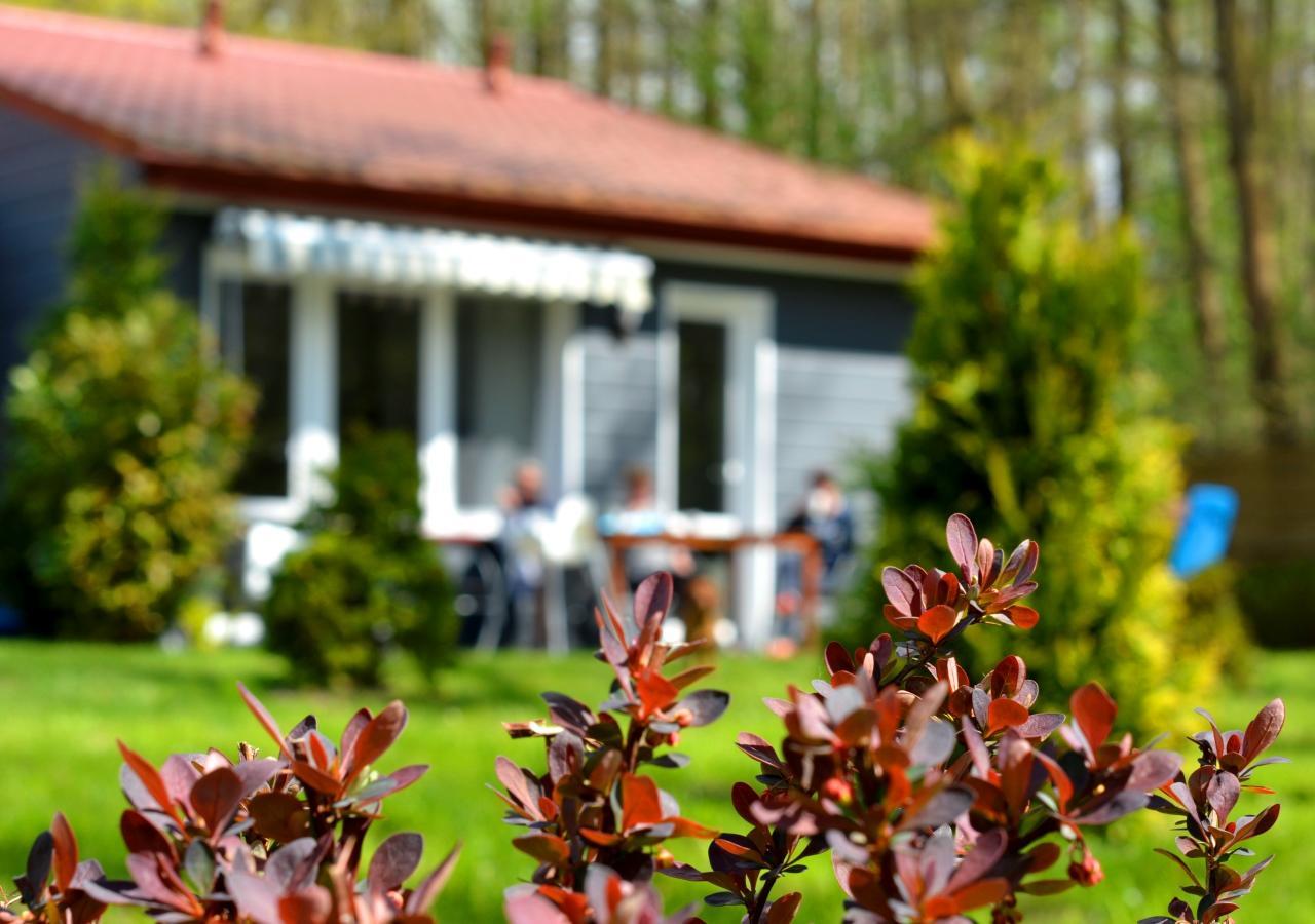 Ferienwohnung Babie Lato Łazy Exterior foto